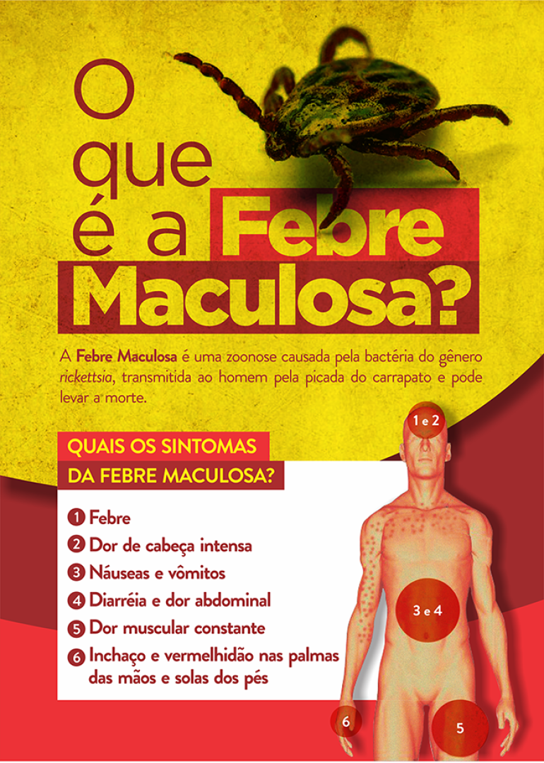 Febre Maculosa – Cuidados que devem ser observados