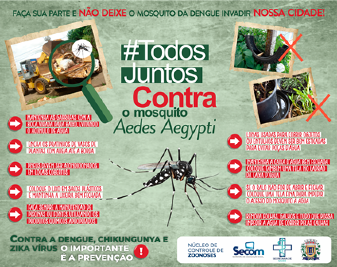 TODOS JUNTOS CONTRA O MOSQUITO AEDES AEGYPTI