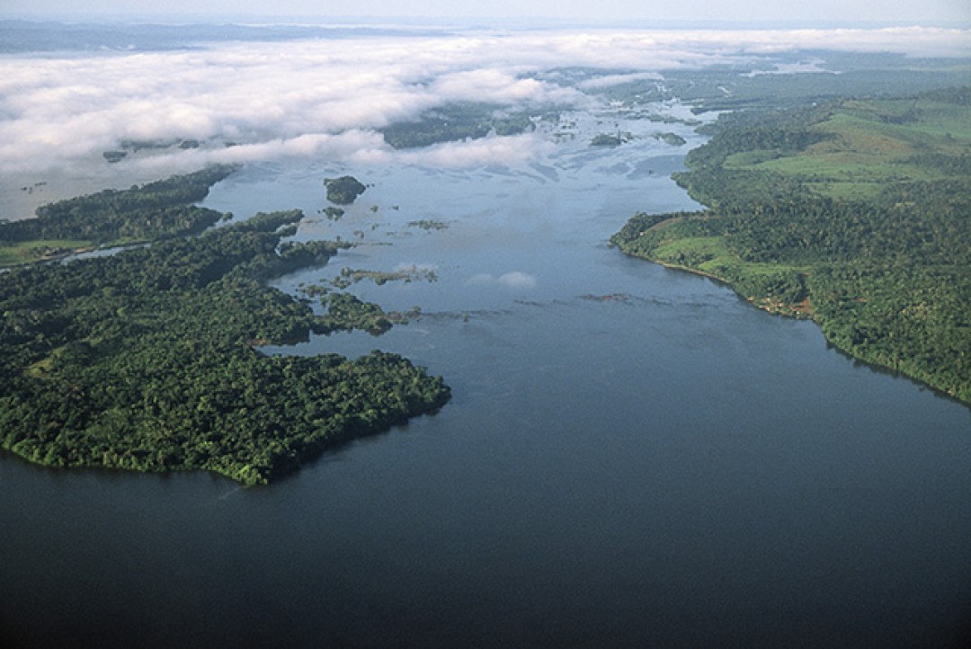 LBV LEVA MÚSICA, CULTURA E CONSCIENTIZAÇÃO AMBIENTAL AO 2º FÓRUM BRASIL DAS ÁGUAS