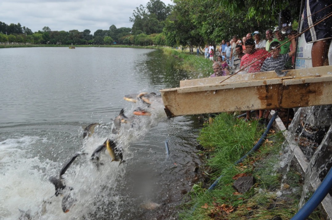SECRETARIA DE ESPORTES E LAZER PROMOVE GRANDE SOLTURA DE PEIXES NO LAGO MUNICIPAL