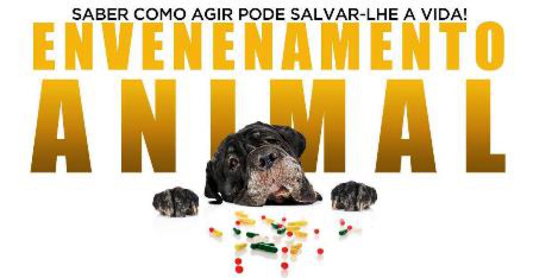 ENVENENAMENTO EM PET: SAIBA QUAIS SÃO OS PRIMEIROS SOCORROS NESSES CASOS