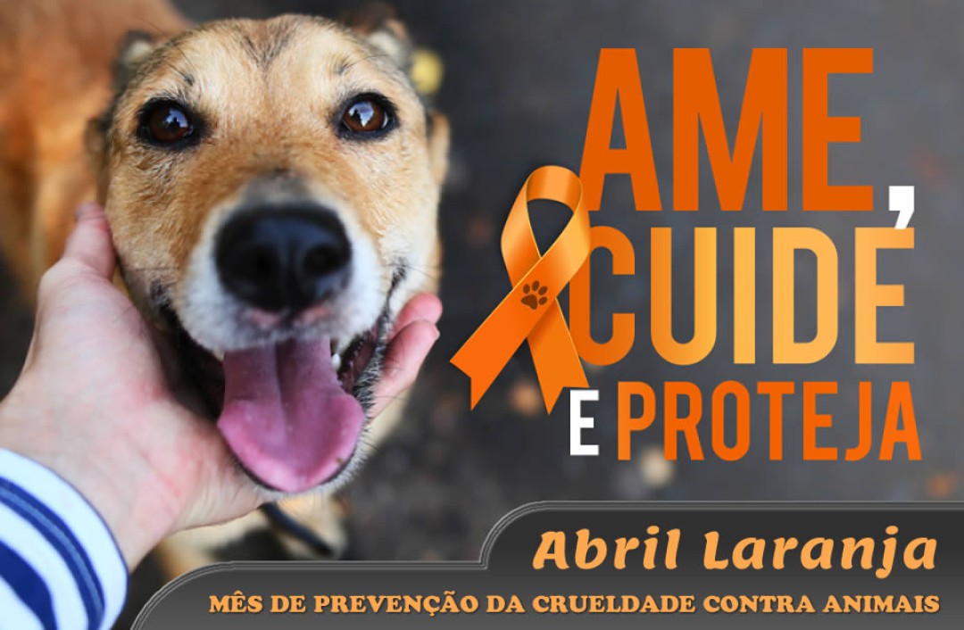 Abril Laranja – Mês de Alerta sobre os maus tratos e crueldade contra animais.
