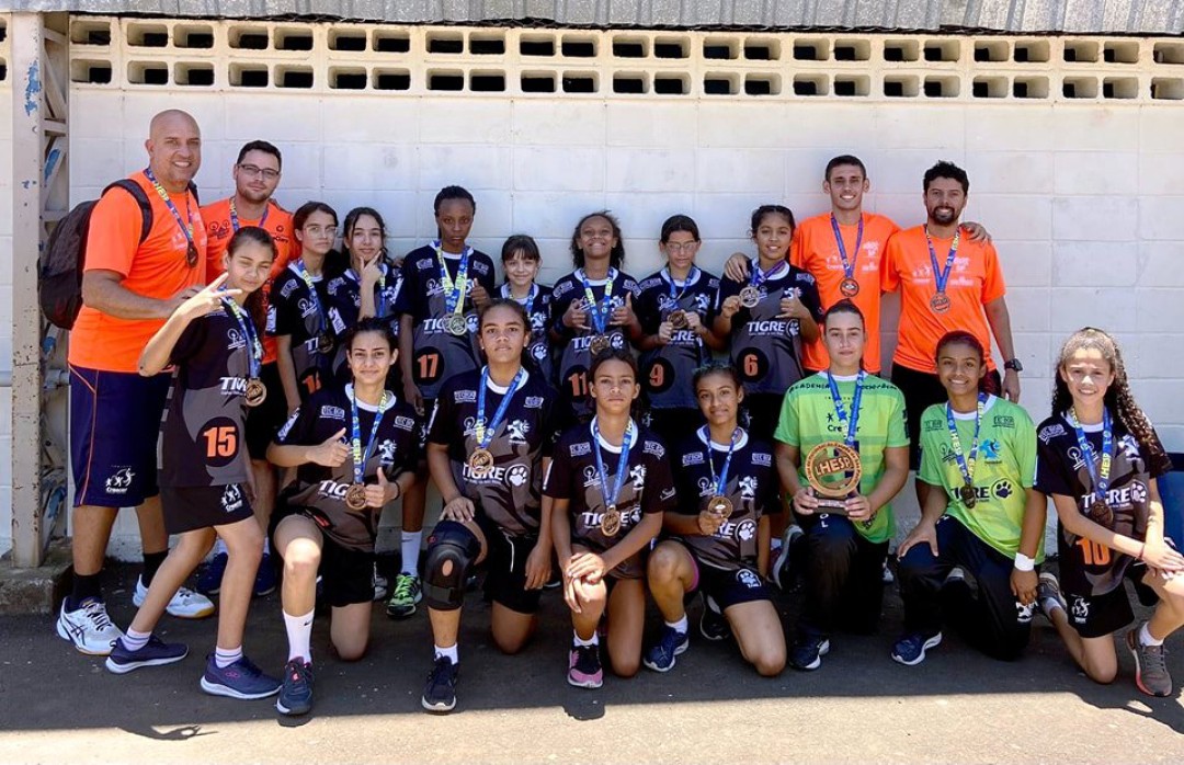 Liga de Handebol do Estado de São Paulo