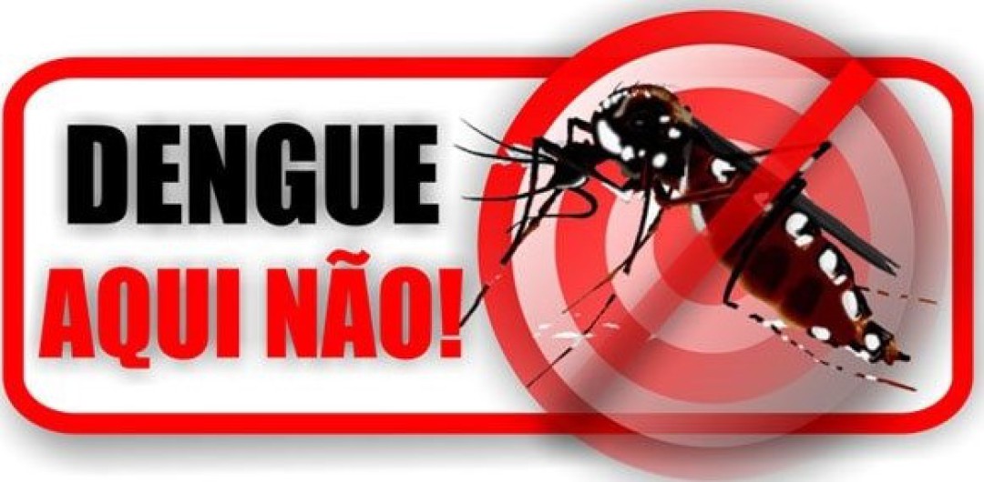 Situação da Dengue no Município de Leme