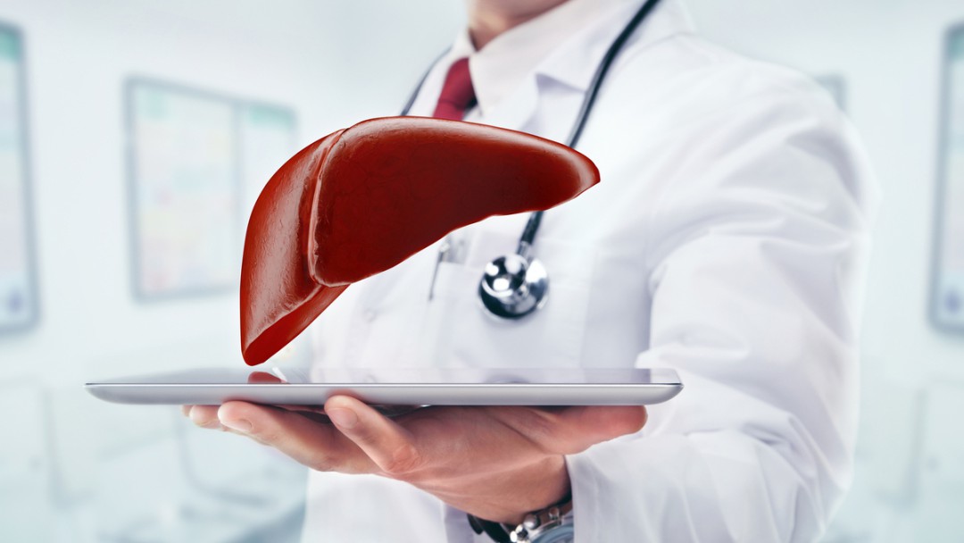 HEPATITES VIRAIS: É POSSÍVEL PREVENI-LAS -  HEPATITE A
