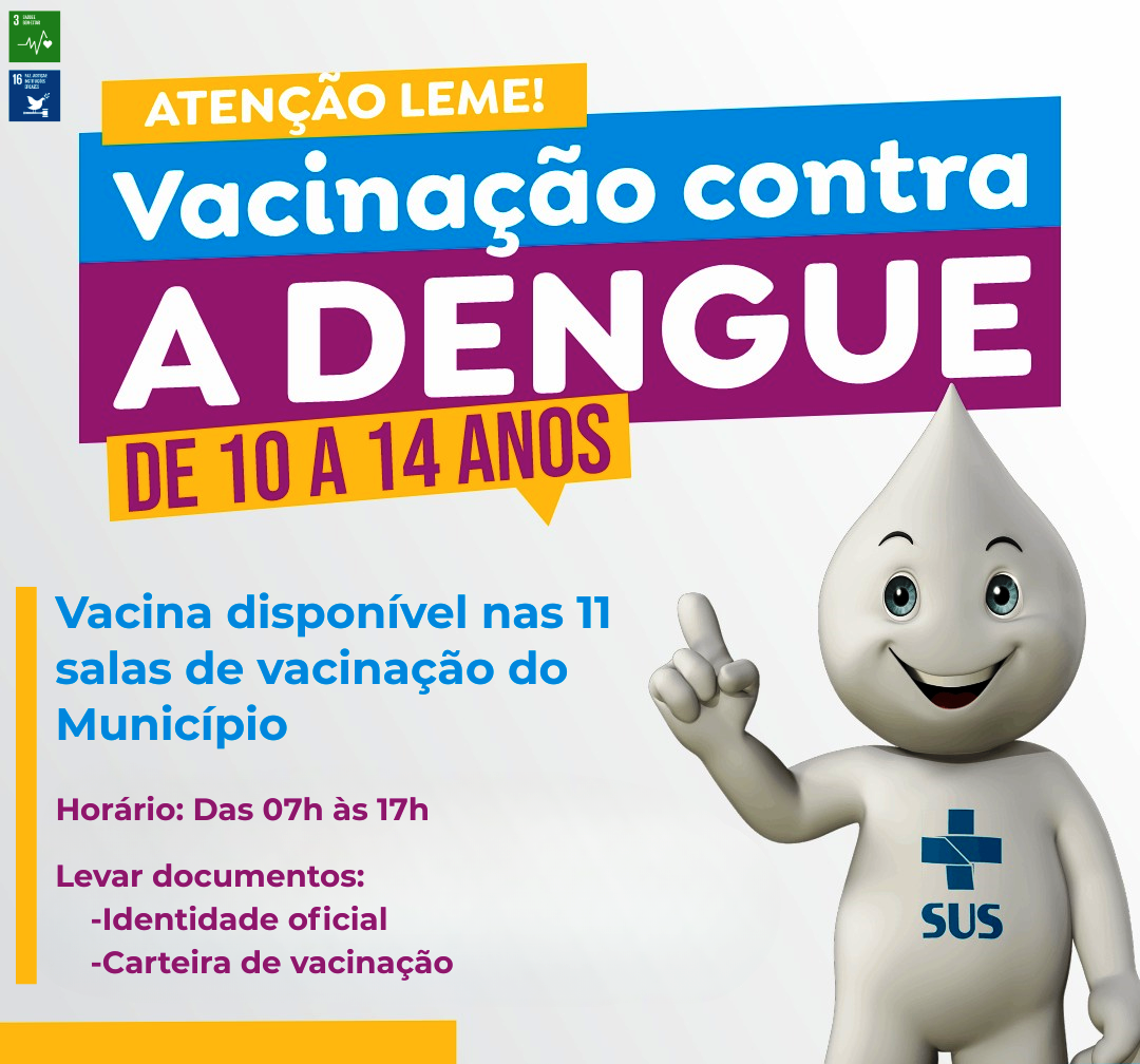 IMPORTÂNCIA DA VACINAÇÃO CONTRA A DENGUE