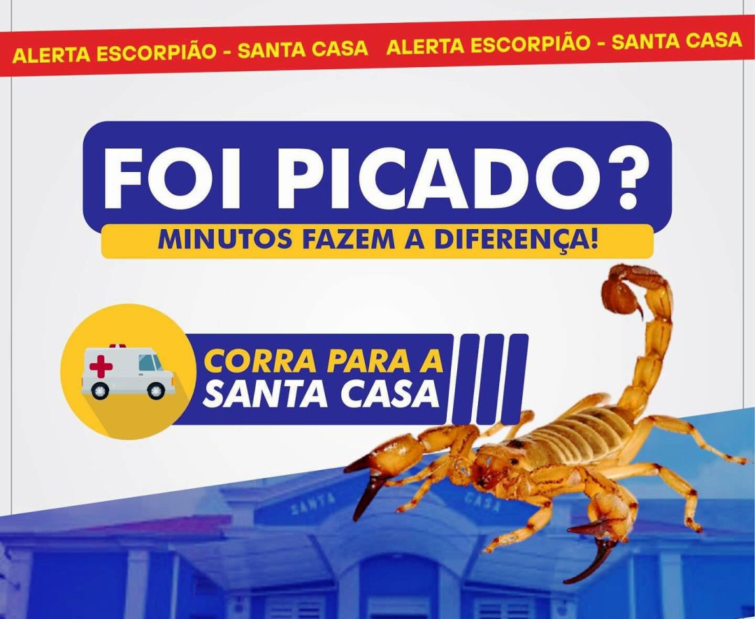 PICADA DE ESCORPIÃO: CORRA PARA A SANTA CASA
