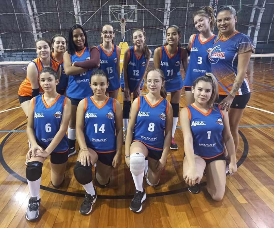 APV de Vôlei