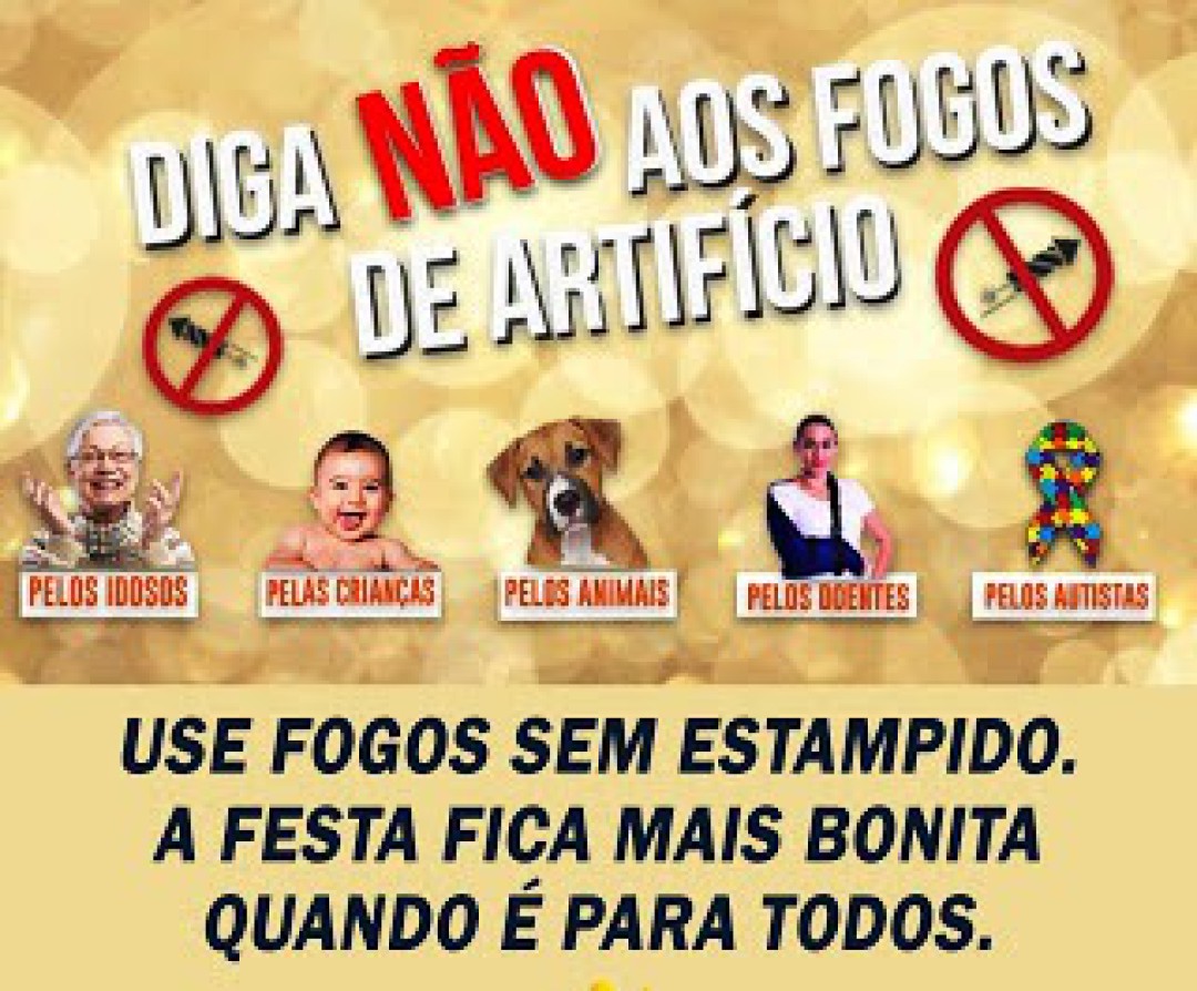 CELEBRE AS FESTAS DE FIM DE ANO SEM FOGOS DE ARTIFÍCIOS – RESPEITE IDOSOS, CRIANÇAS DO ESPECTRO AUTISTA E ANIMAIS