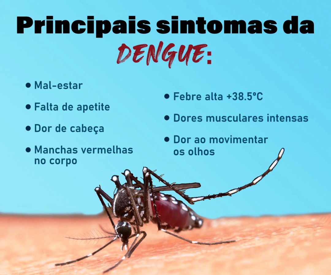 BOLETIM DA DENGUE: LEME CONFIRMA 1.215 CASOS DE DENGUE