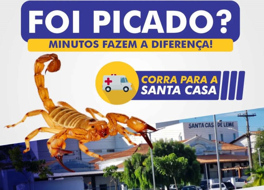 ATENÇÃO!  PICADA DE ESCORPIÃO, ARANHA OU COBRA: CORRA PARA A SANTA CASA