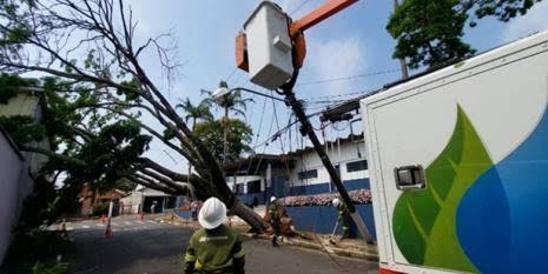 CONCESSIONÁRIA DE ENERGIA ALERTA PARA RISCOS COM A REDE ELÉTRICA DURANTE TEMPESTADES DE VERÃO