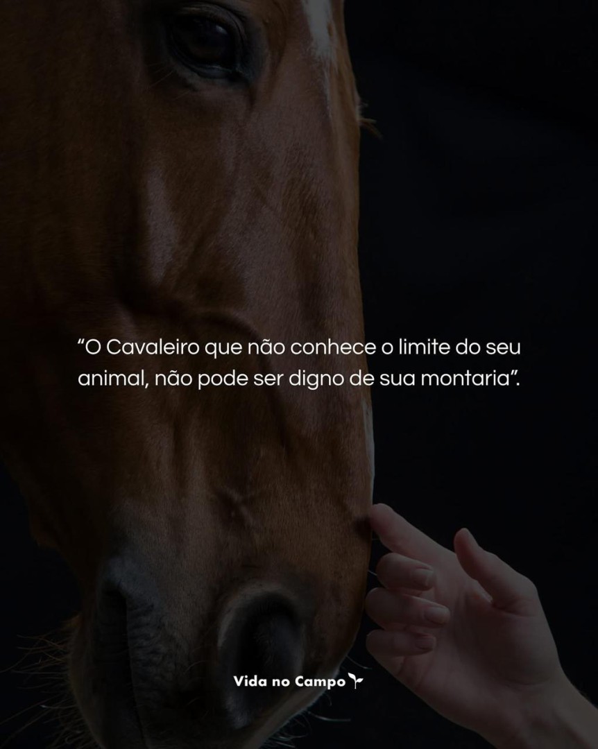 CRUELDADE EM BANANAL: A MORTE POR CRUELDADE  QUE CLAMA POR JUSTIÇA