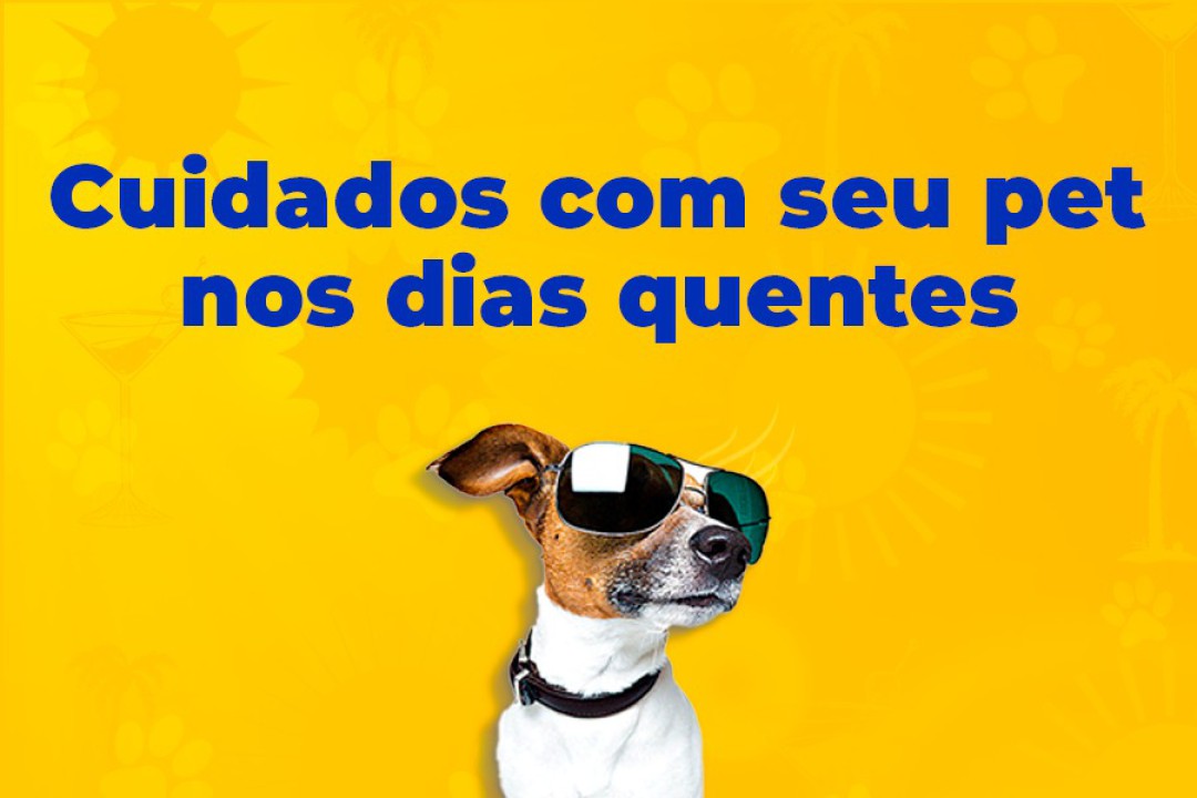 ALTAS TEMPERATURAS: REDOBRE OS CUIDADOS COM OS ANIMAIS DE ESTIMAÇÃO